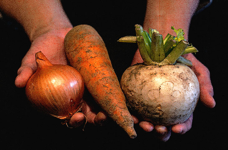 直送野菜